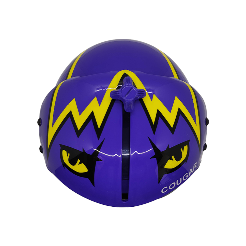 HGU-33 Top Gun Cougar Flight Helmet Movie Prop - Image 17