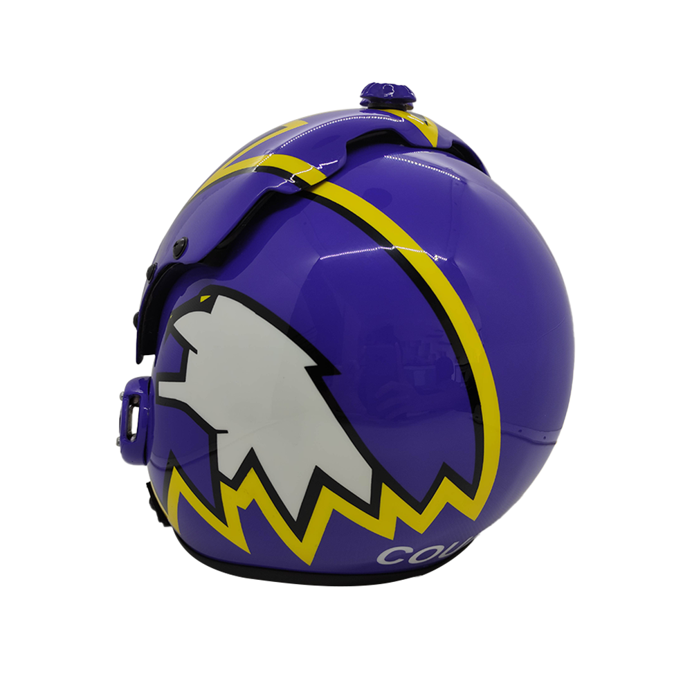 HGU-33 Top Gun Cougar Flight Helmet Movie Prop - Image 12