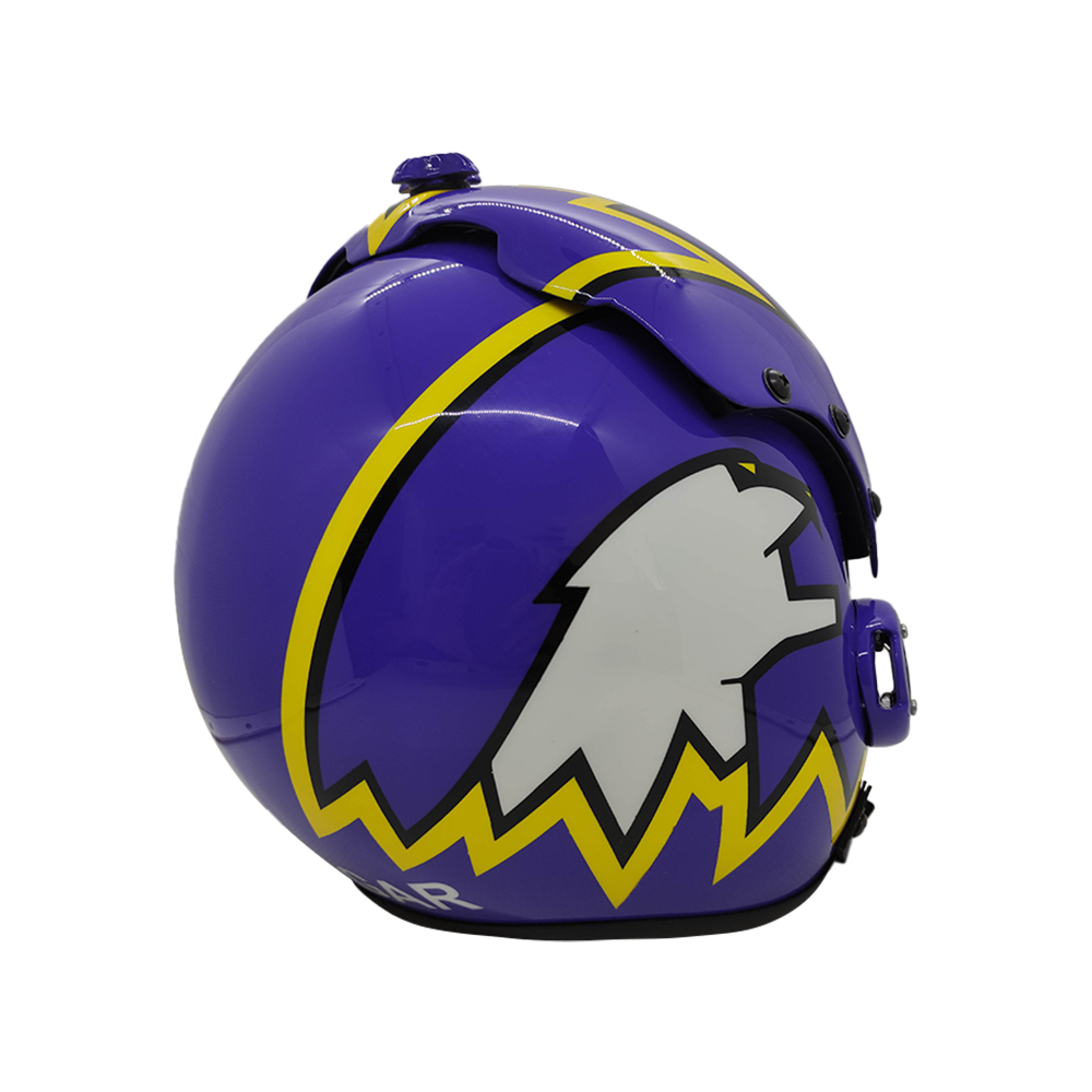 HGU-33 Top Gun Cougar Flight Helmet Movie Prop - Image 14